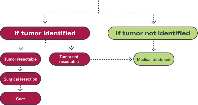 Diagnostic Process for Tumor Induced Osteomalcia Icon